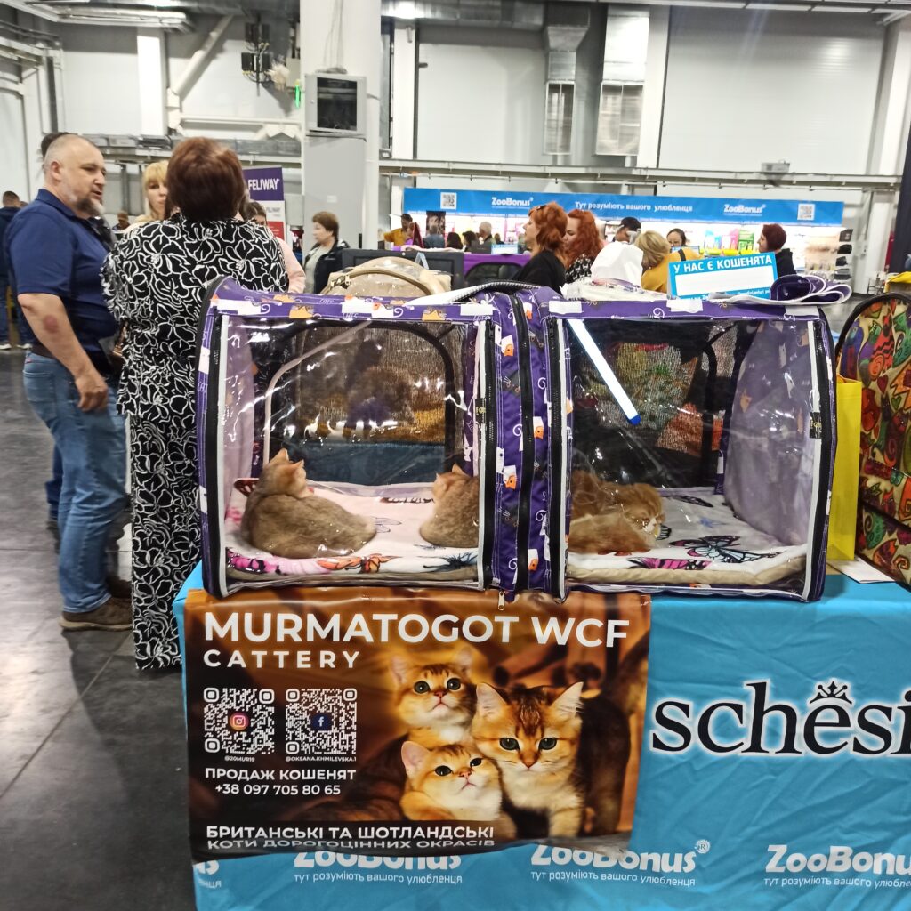 8fbb5b20-9485-499a-b6d8-7f8655693152-1_all_10900